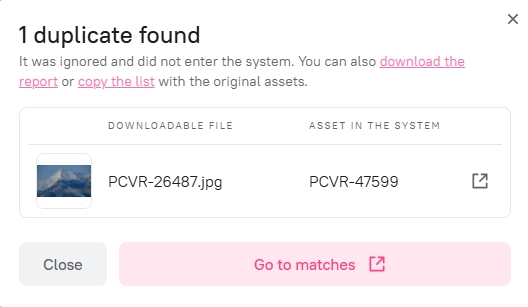 Importing assets via the web interface