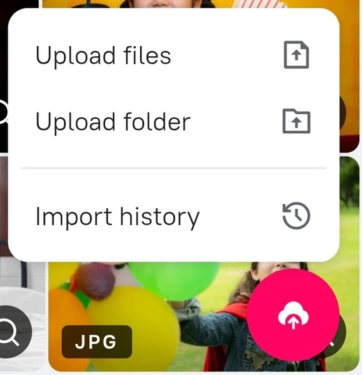 Importing assets via the web interface