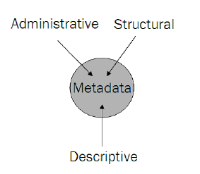 What is Image Metadata. Role and Benefits | Picvario MetaEditor