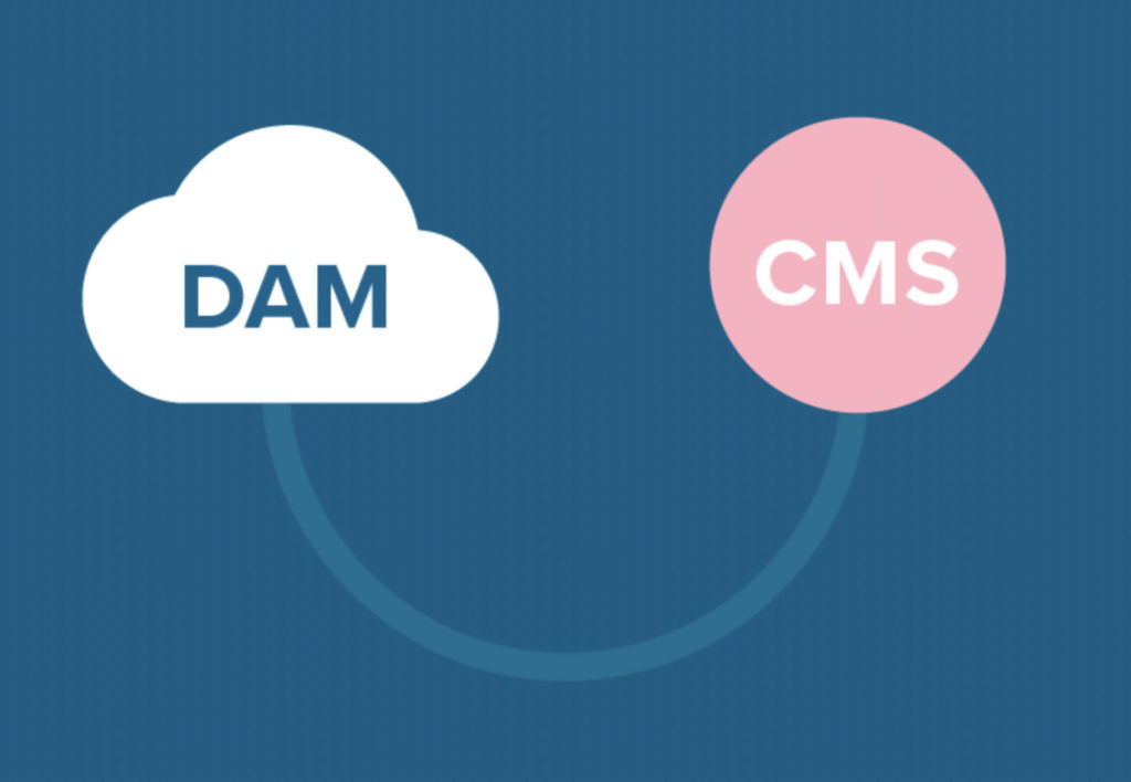 DAM vs CMS: Are They Different?